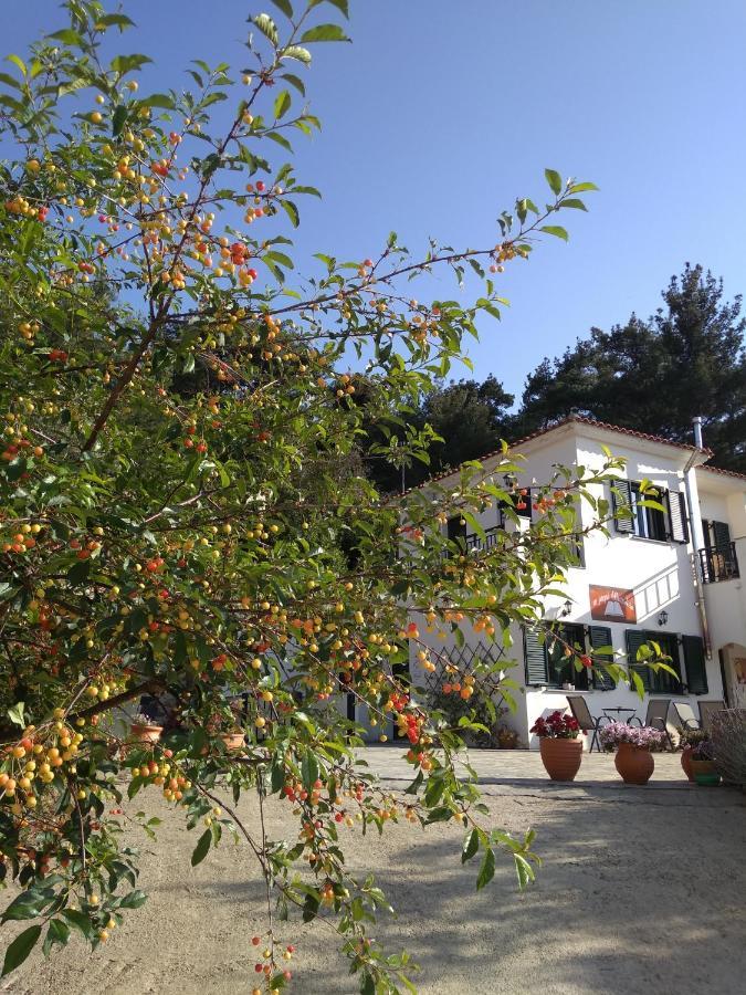 Eri Rooms To Let Raches (Ikaria) Exterior foto
